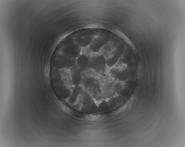 X0000111460831200908101053