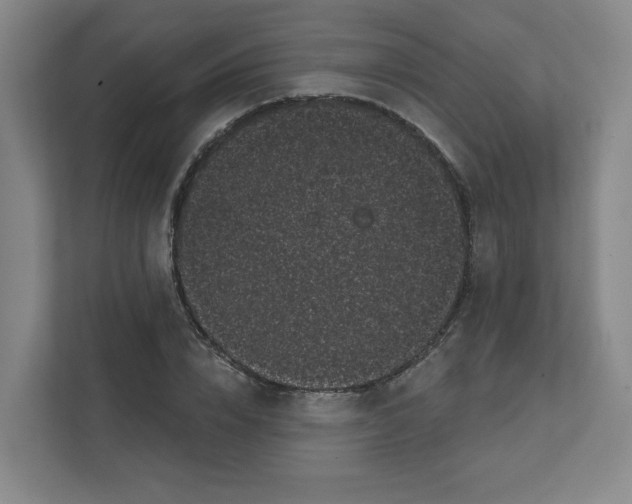 X0000111460832200908101053