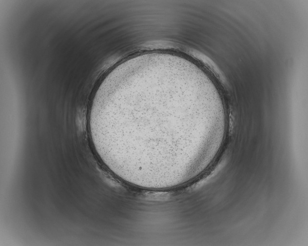 X0000111460833200908101053