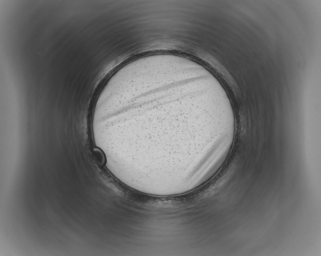 X0000111460834200908101053
