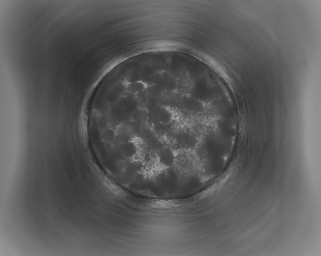 X0000111460835200908101053
