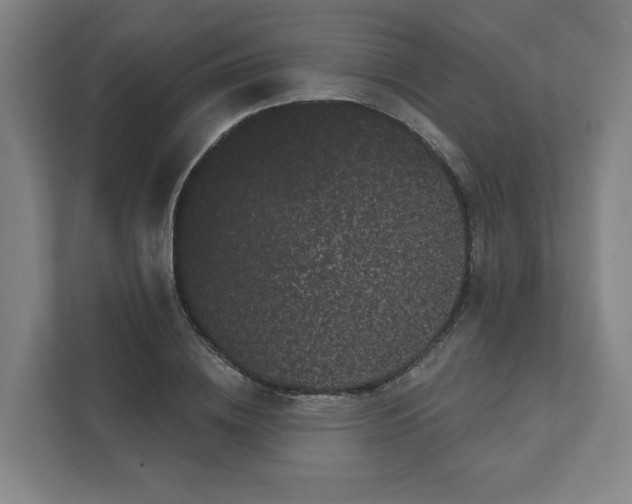X0000111460836200908101053