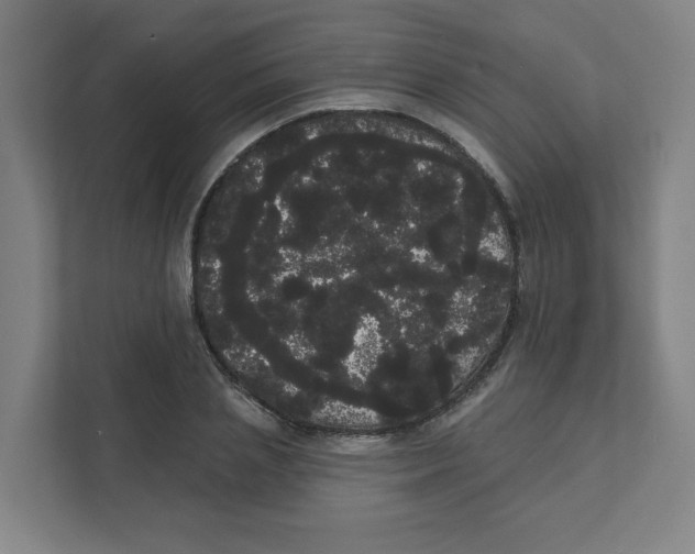 X0000111460837200908101053