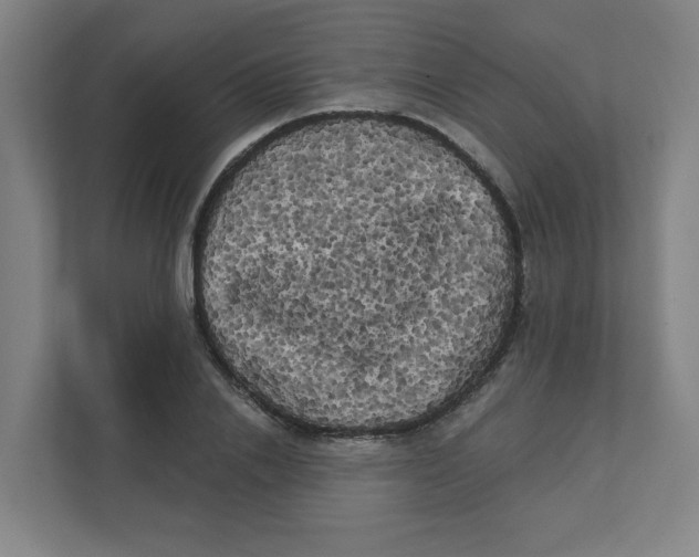 X0000111460838200908101053
