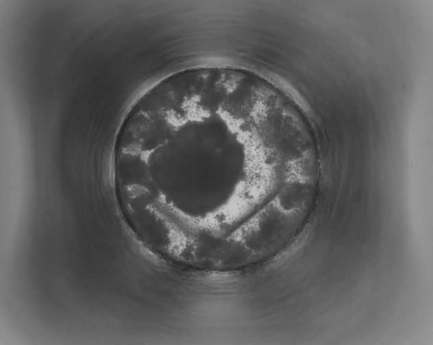X0000111460839200908101053