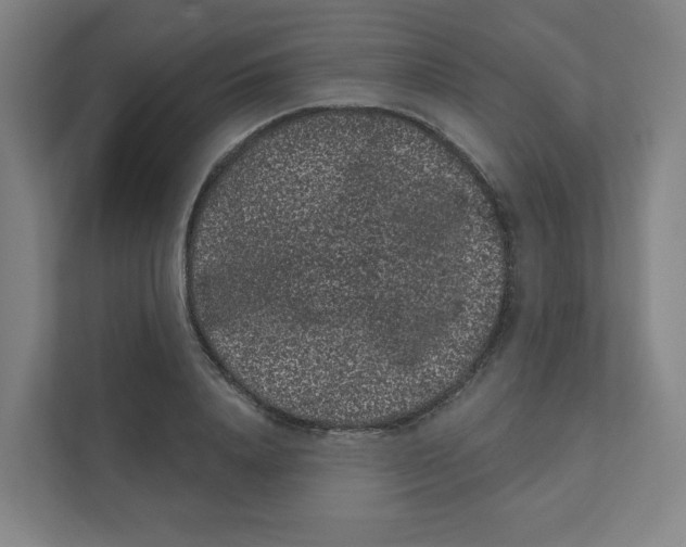X0000111460840200908101053