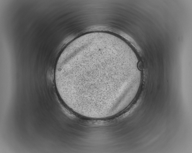 X0000111460841200908101053