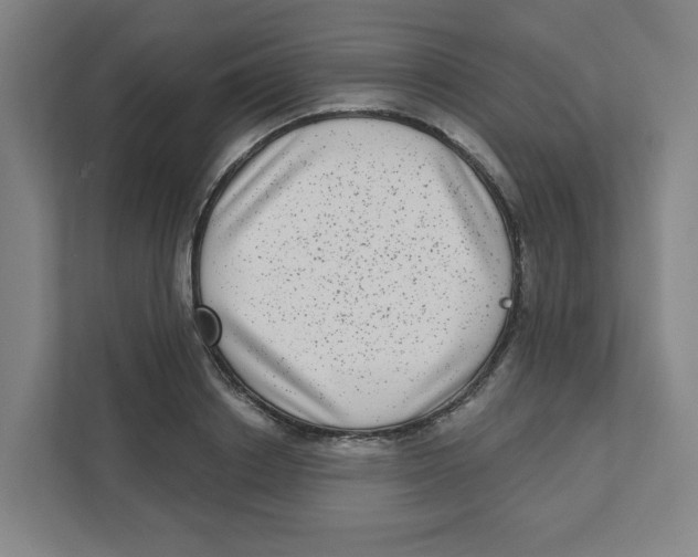 X0000111460842200908101053