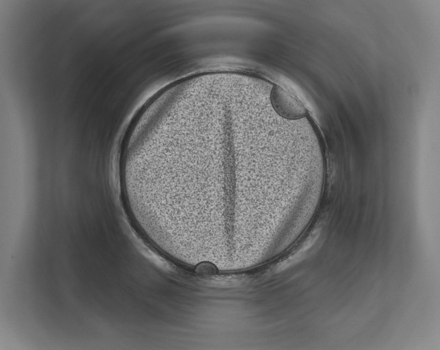 X0000111460843200908101053