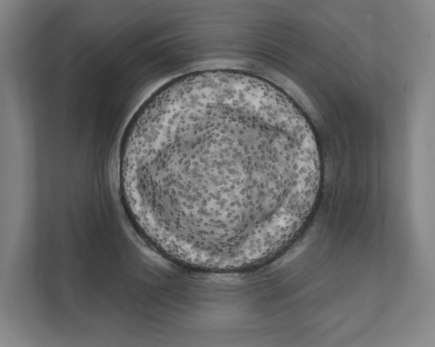 X0000111460844200908101053