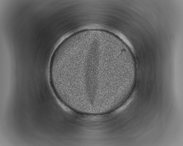 X0000111460845200908101053