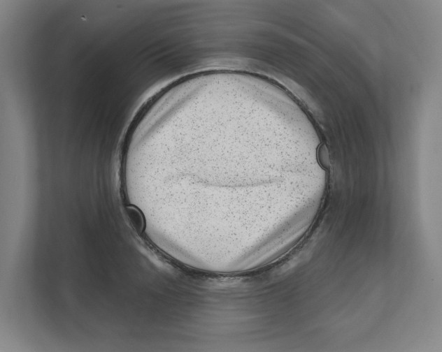 X0000111460846200908101053