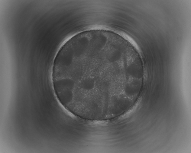 X0000111460847200908101053