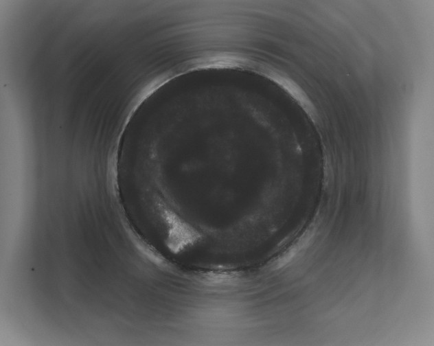 X0000111460850200908101053