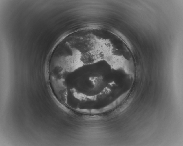 X0000111460851200908101053