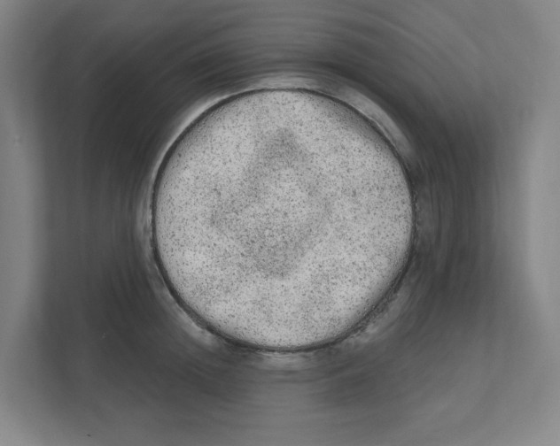 X0000111460852200908101053
