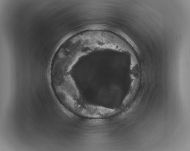 X0000111460853200908101053