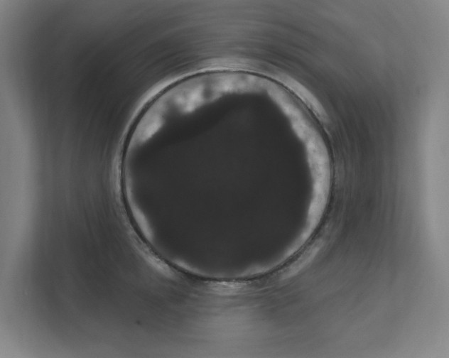 X0000111460854200908101053