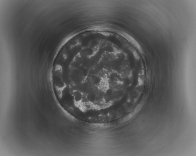 X0000111460855200908101053