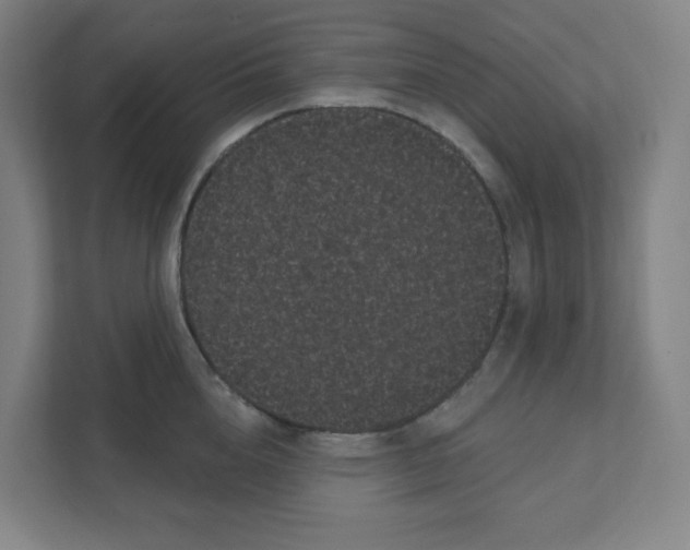 X0000111460856200908101053