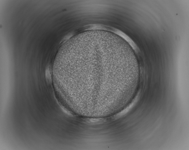 X0000111460857200908101053