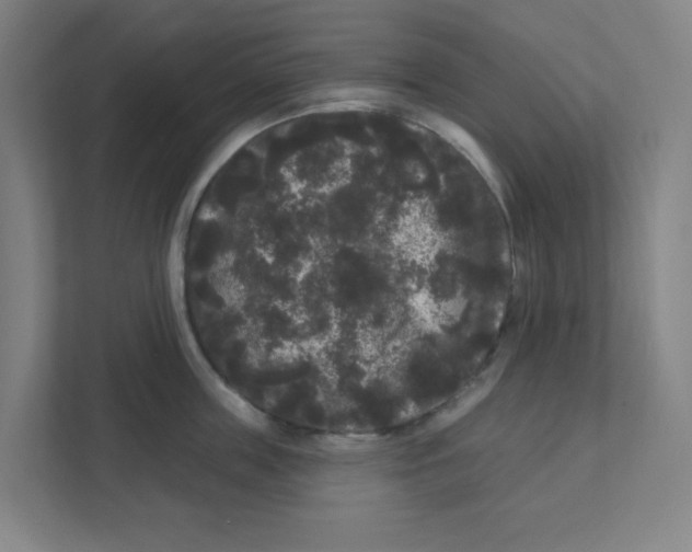 X0000111460859200908101053