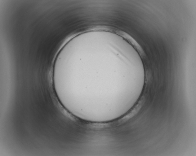 X0000111460860200908101053