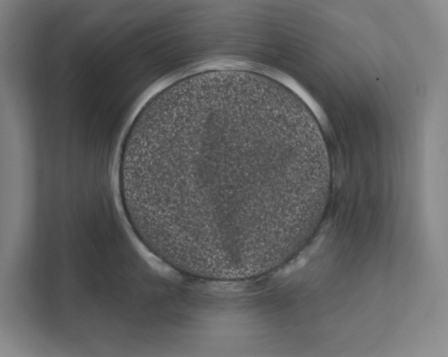 X0000111460861200908101053