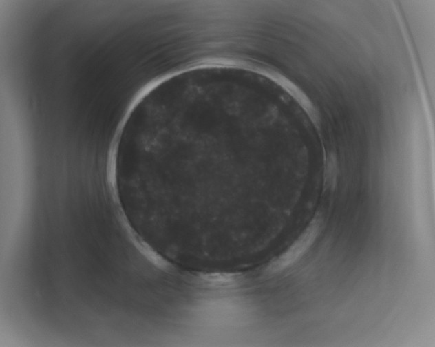 X0000111460862200908101053