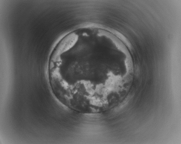 X0000111460863200908101053