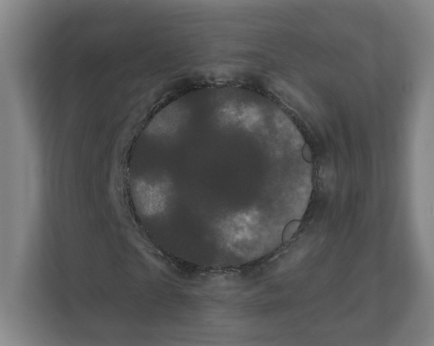 X0000111460865200908101052
