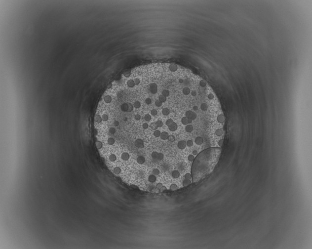 X0000111460866200908101052