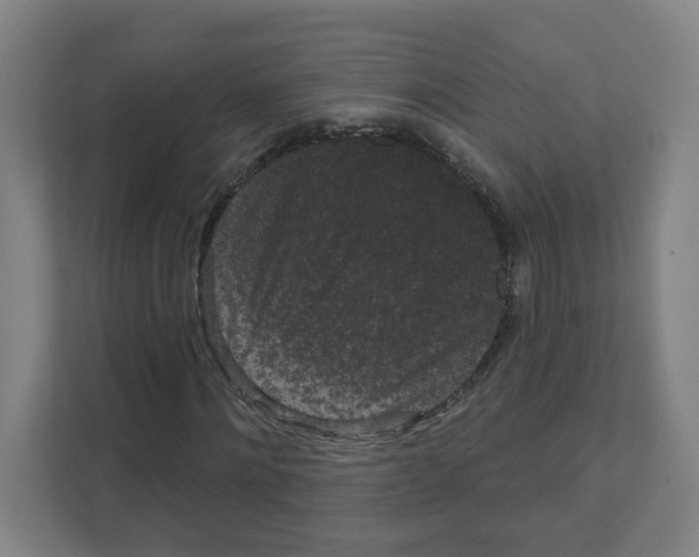 X0000111460868200908101052