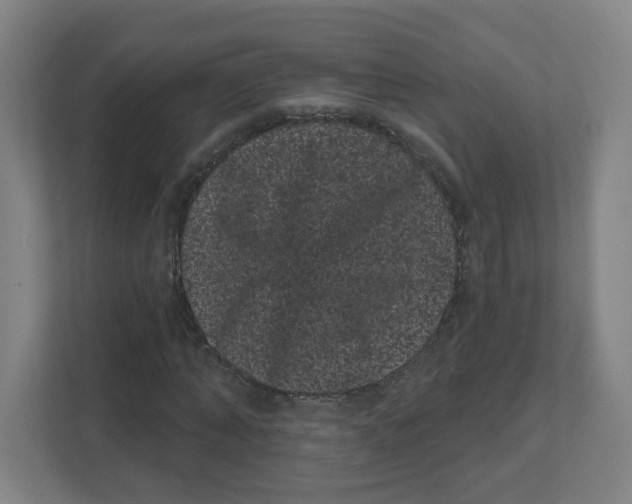 X0000111460870200908101052