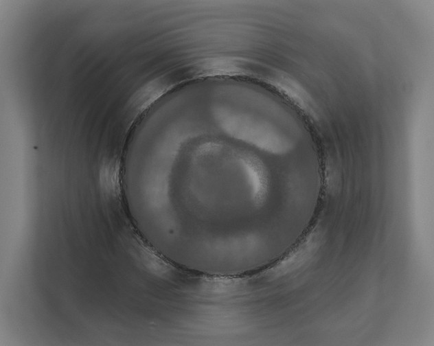 X0000111460873200908101052