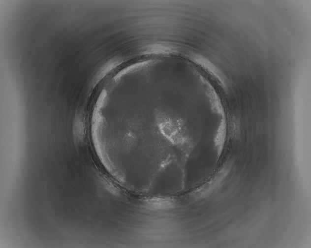 X0000111460874200908101052