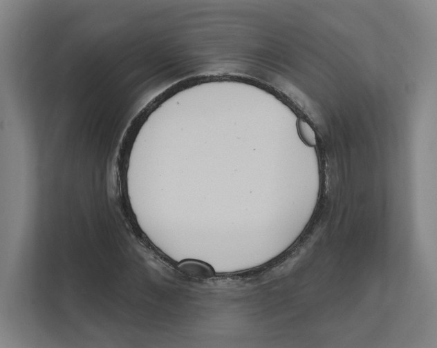 X0000111460876200908101052