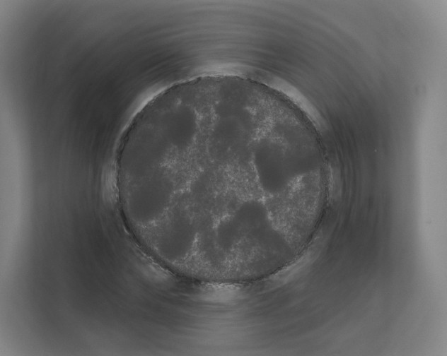 X0000111460878200908101052