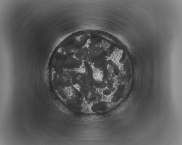 X0000111460879200908101052
