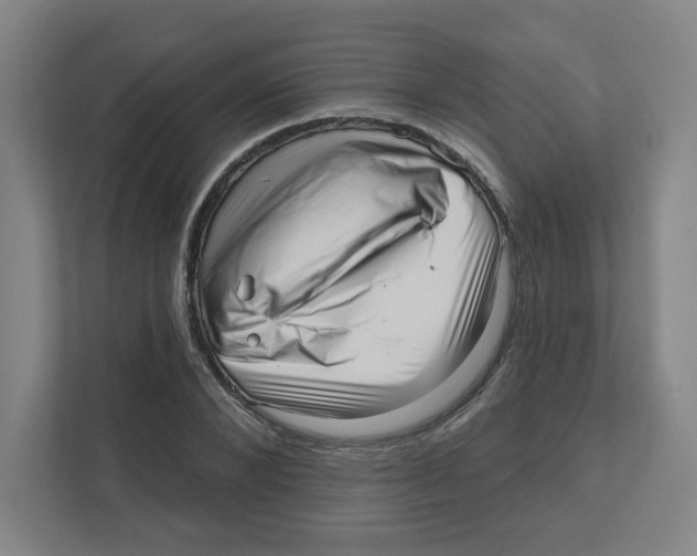 X0000111460880200908101052