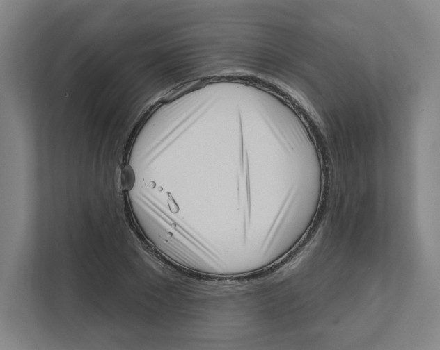 X0000111460881200908101052