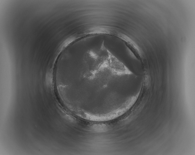 X0000111460882200908101052