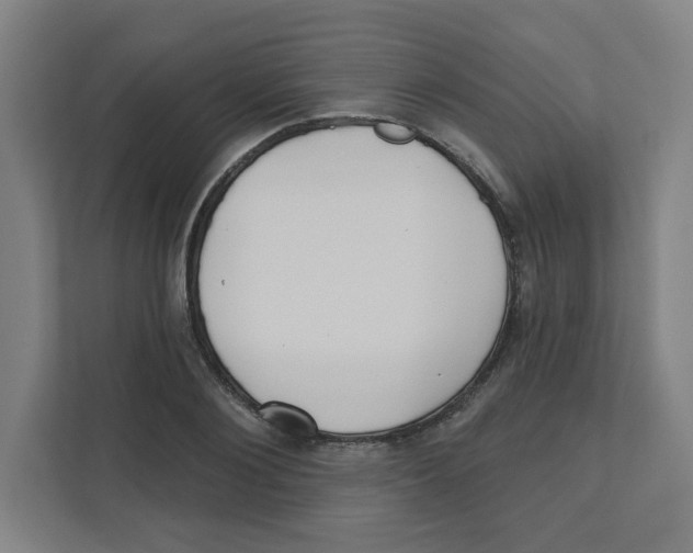 X0000111460884200908101052