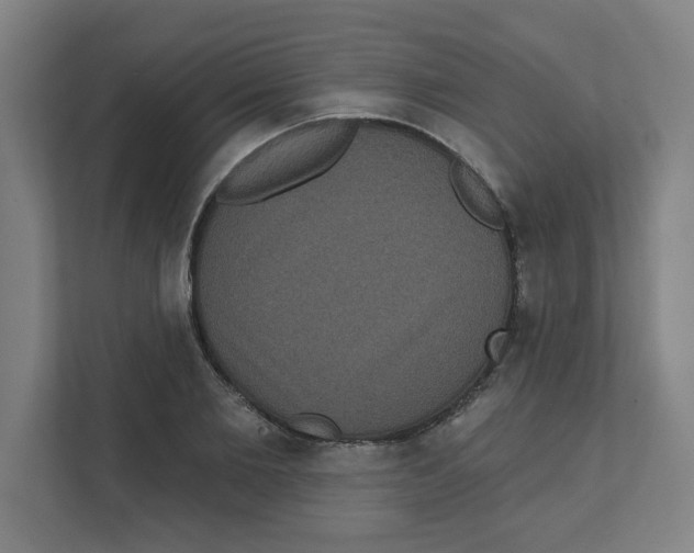 X0000111460885200908101052