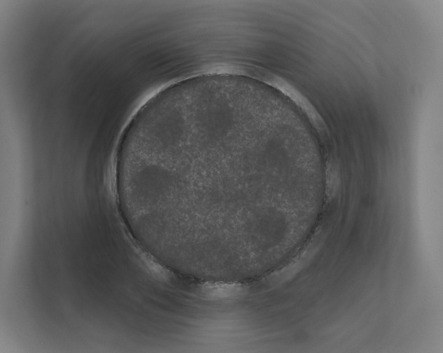 X0000111460886200908101052