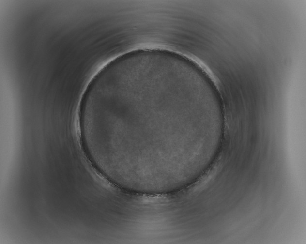 X0000111460887200908101052