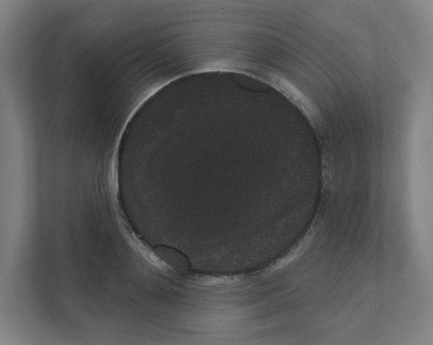 X0000111460892200908101052
