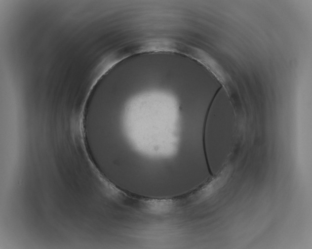 X0000111460893200908101052