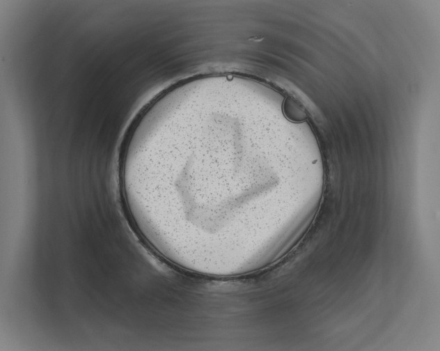 X0000111460894200908101052