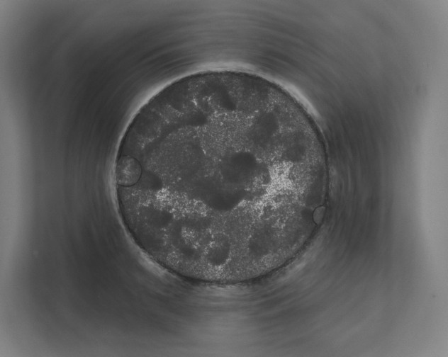 X0000111460895200908101052